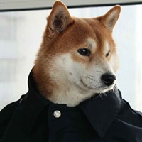 悲惨世界的命运|悲惨世界的命运小说|悲惨世界