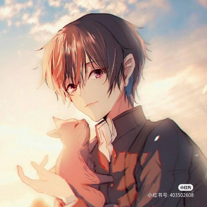 女权世界的绝色男子